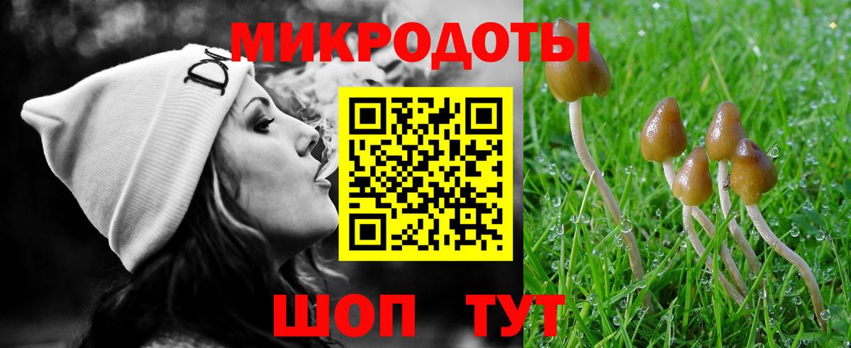 Галлюциногенные грибы Magic Shrooms Фролово
